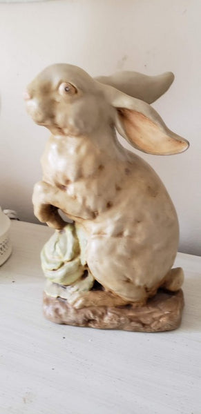 "Rabbits, Rabbits, Rabbits - Sweet as Candy!"