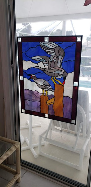 "STAINED GLASS" - Canal Life Flora & Fauna" Jan. 29th & Sat. 1/30/21