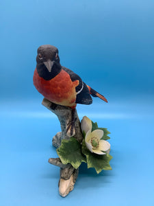 Porcelain Baltimore Bird by Andrea