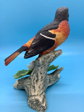 Porcelain Baltimore Bird by Andrea
